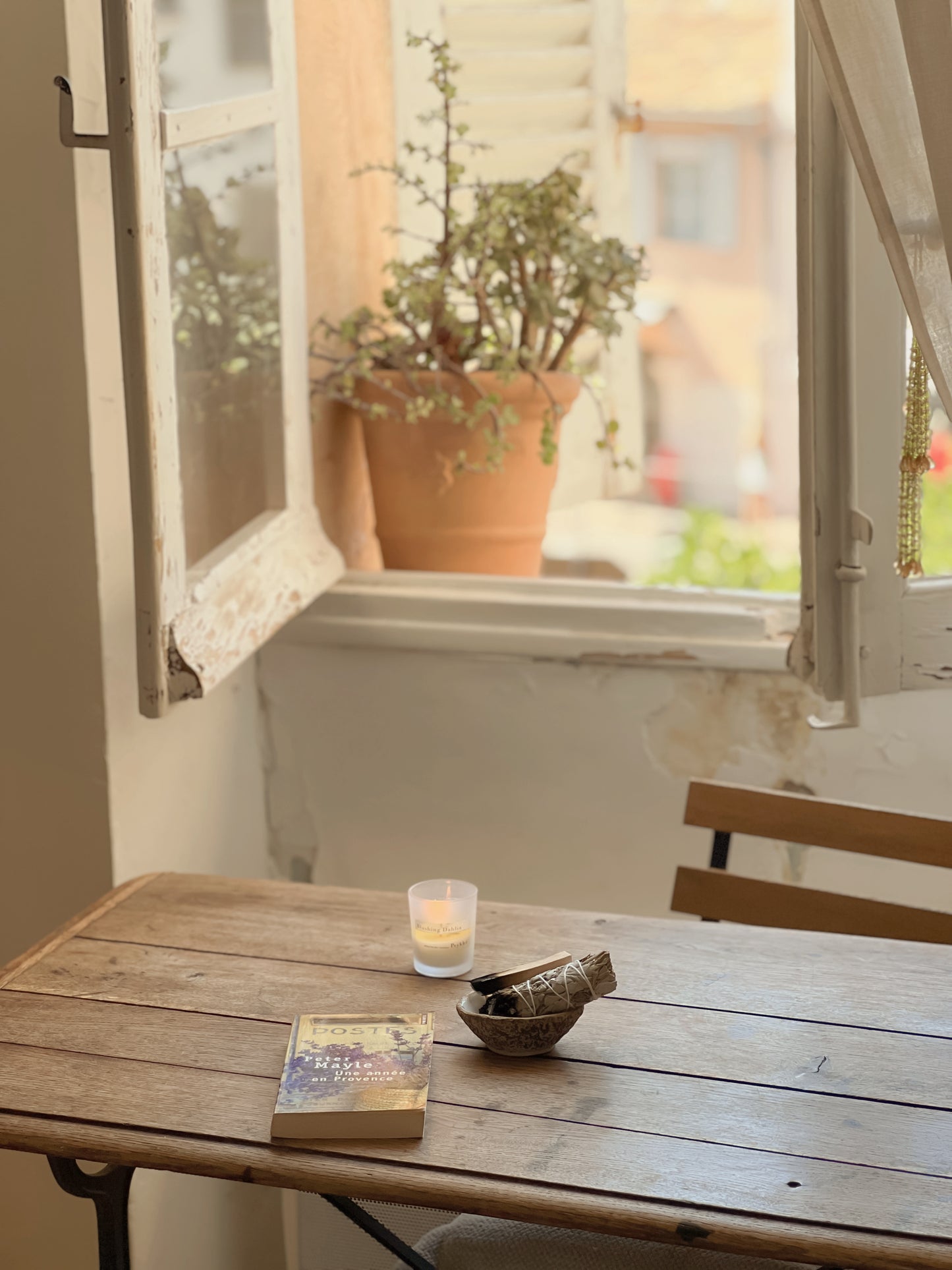 Palo Santo Sticks パロサントスティック 25g