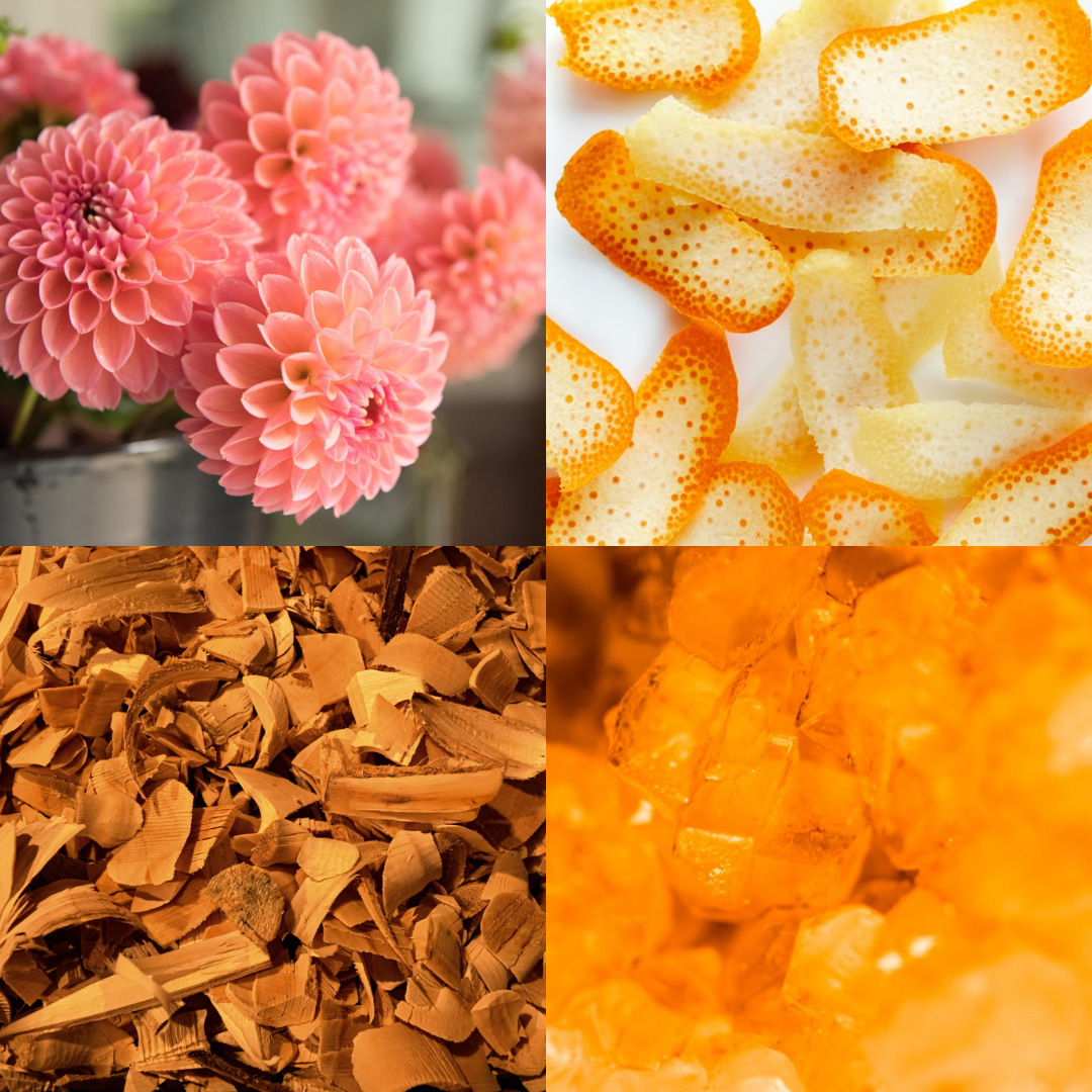 Blushing Dahlia 200g