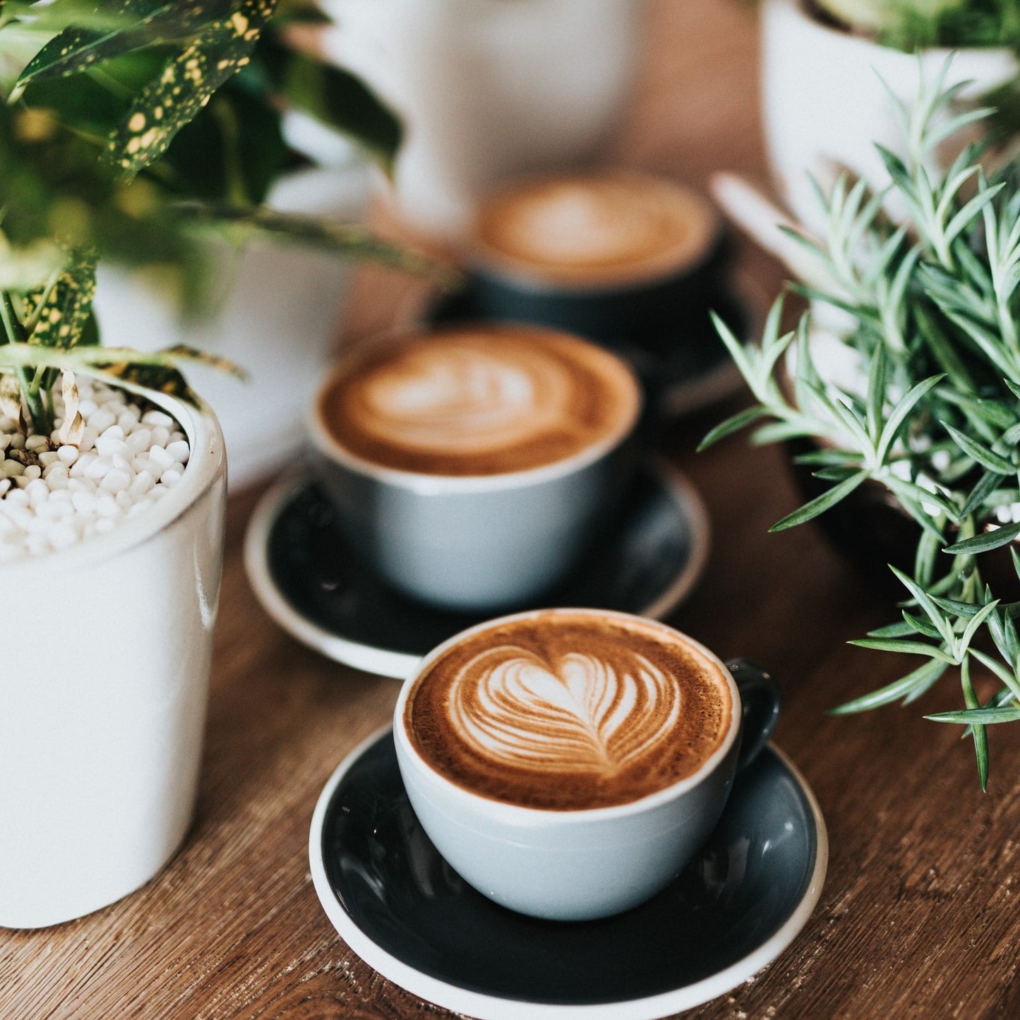 Coffee Bliss 60g
