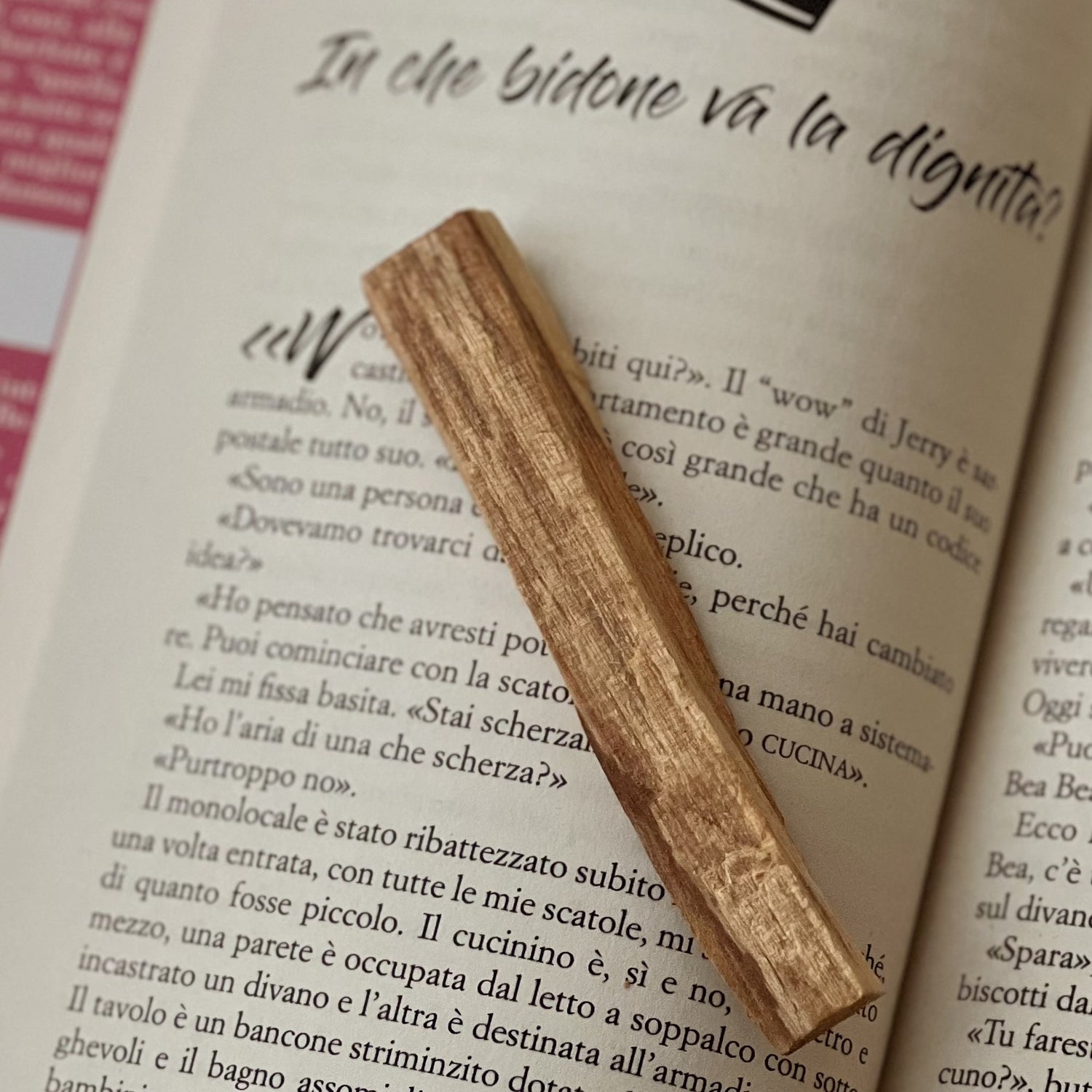 Palo Santo Sticks パロサントスティック 45g – Psykhe Co